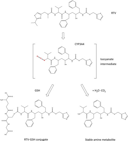 Fig. 11.