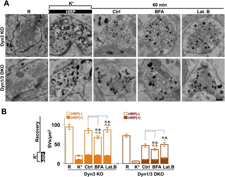 Figure 12.