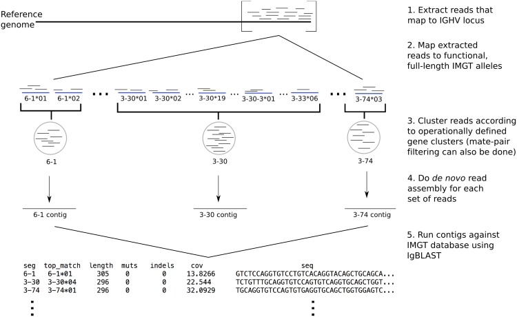 Fig 2