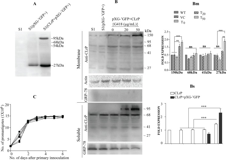 Fig 3