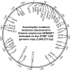 FIG 1