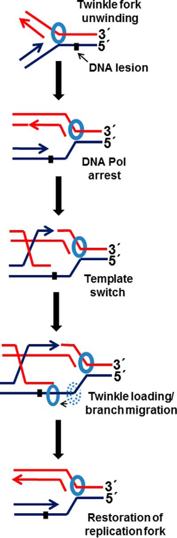 FIGURE 12.