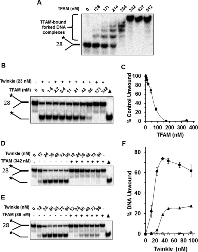 FIGURE 11.