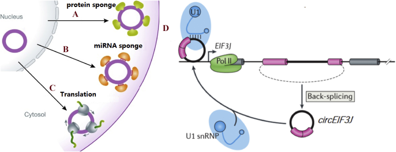 Figure 2