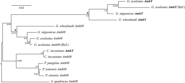 FIGURE 4