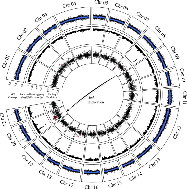 FIGURE 2