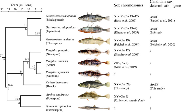 FIGURE 1