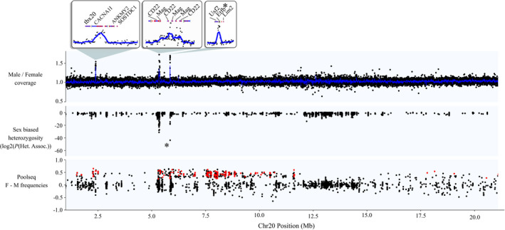 FIGURE 3