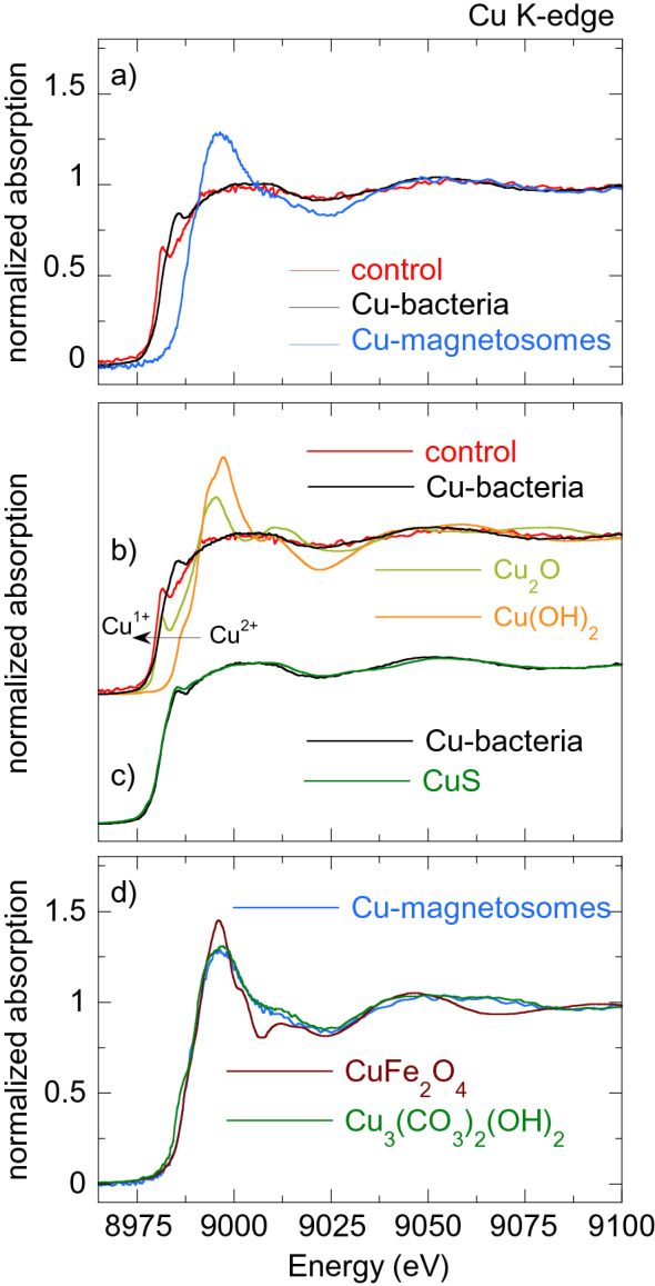 Figure 9