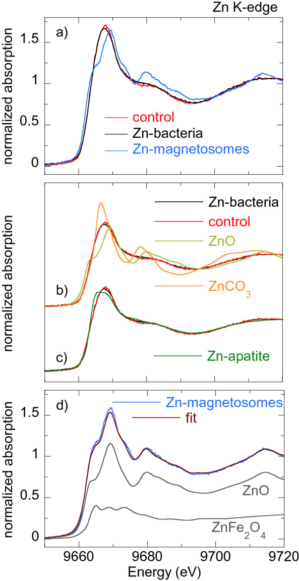 Fig. 8