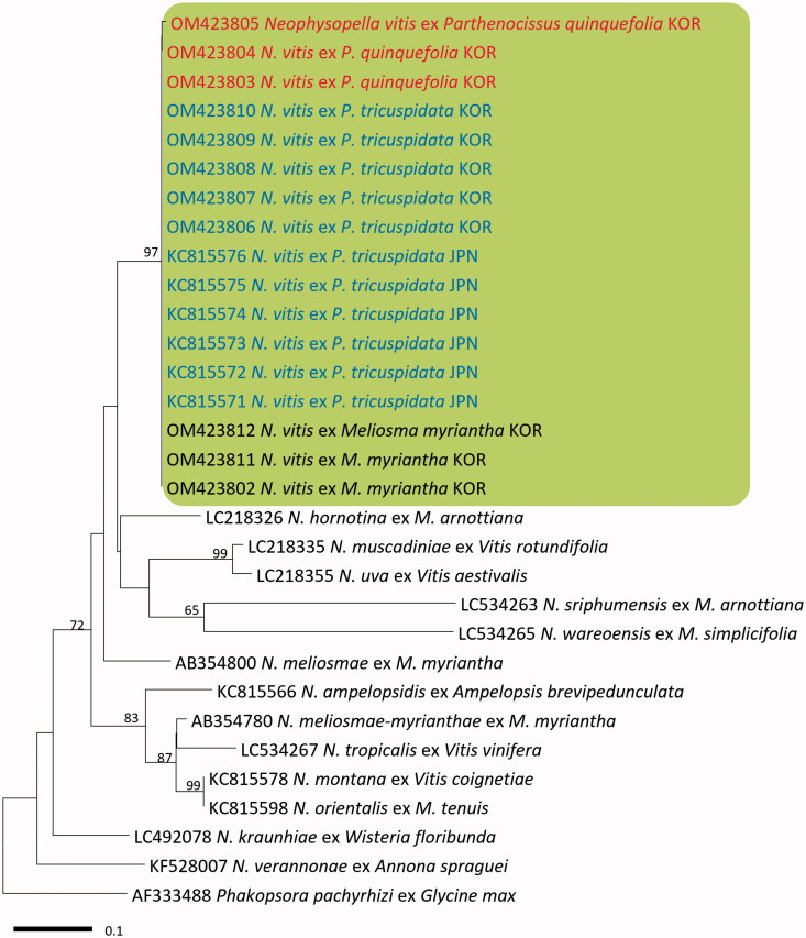 Figure 2.