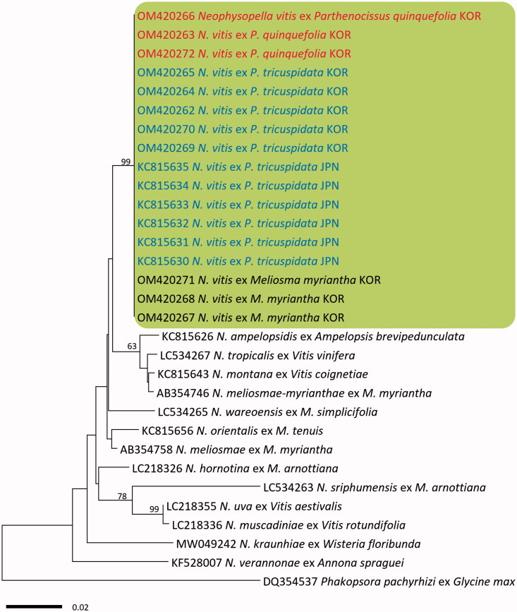 Figure 3.