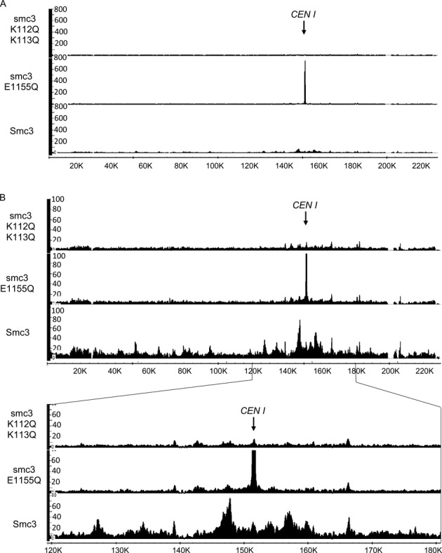 Figure 7.