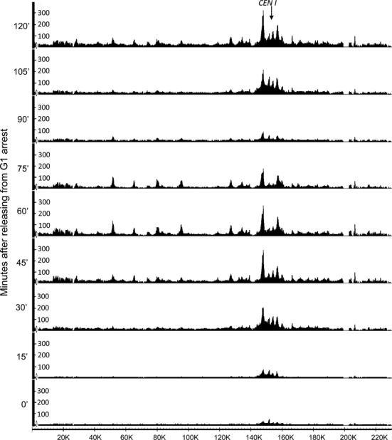 Figure 5.