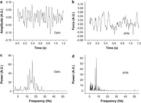 FIGURE 3