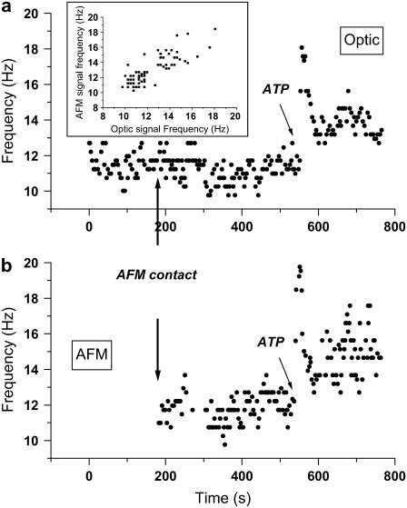 FIGURE 4