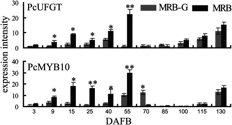 Figure 3.