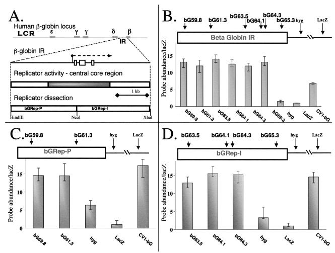 FIG. 2.