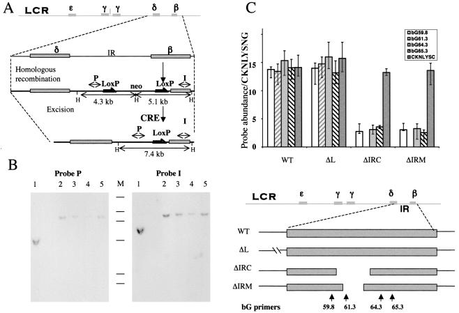 FIG. 7.