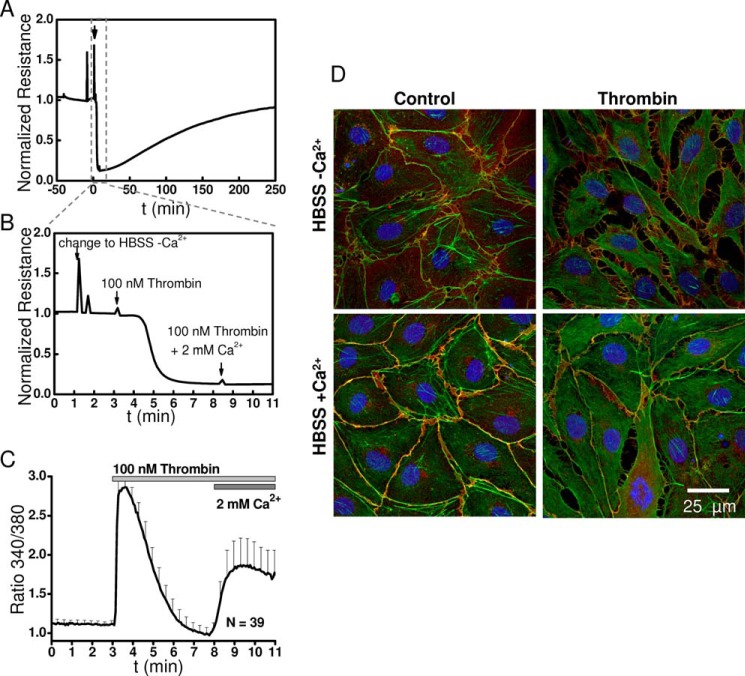 FIGURE 10.