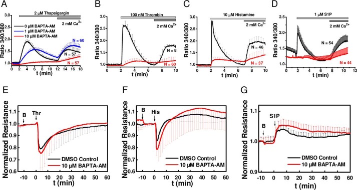 FIGURE 11.