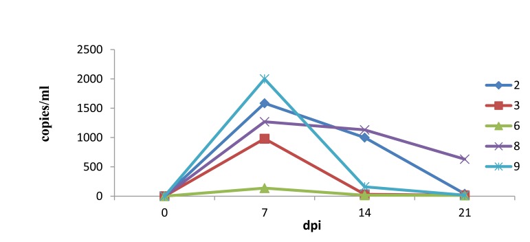 Fig. (5)