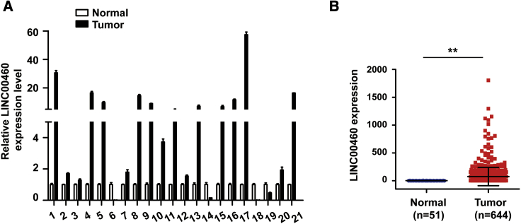 Figure 6