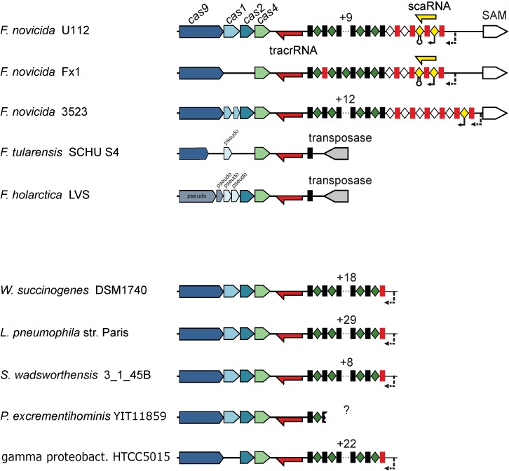 Figure 6.