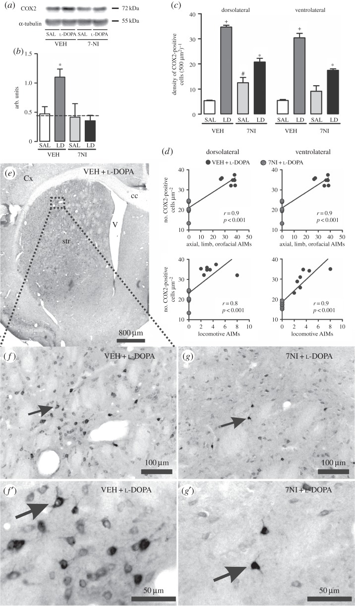 Figure 3.