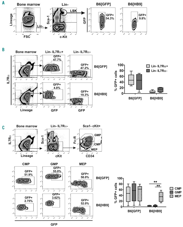 Figure 6.