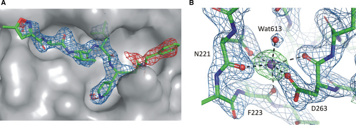 Fig. 3