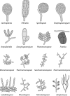 FIG 2