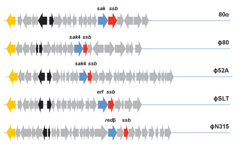 Figure 5—figure supplement 2.