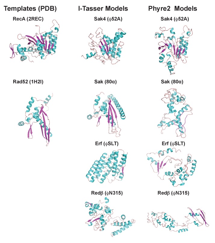 Figure 7.