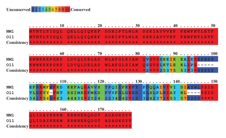 Figure 1—figure supplement 1.