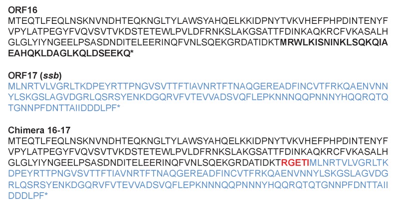 Figure 5—figure supplement 1.