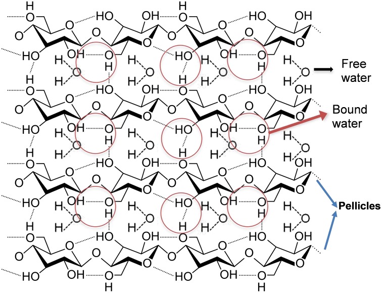 Figure 5.