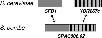 FIG. 1.