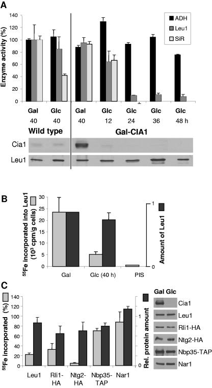 FIG. 3.