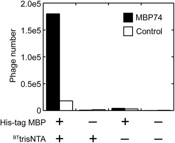 Fig. 3