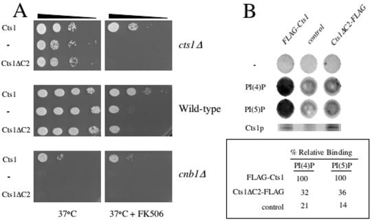 FIG. 9.