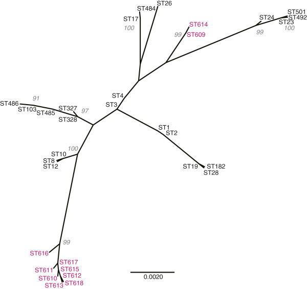 Figure 2