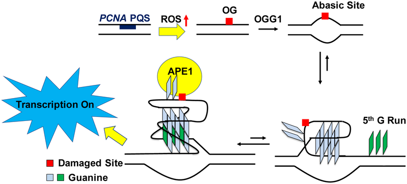 Figure 10.