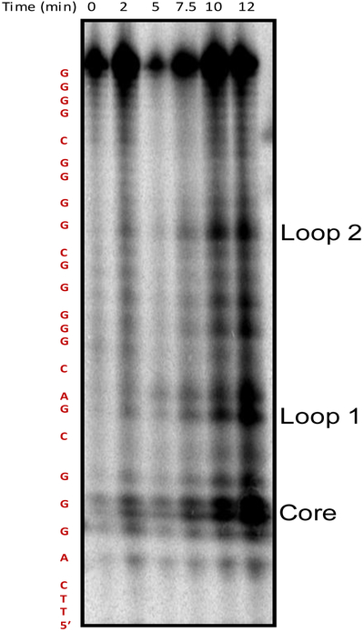 Figure 5.