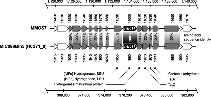 FIG 4