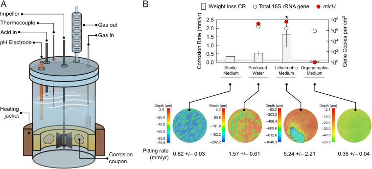 FIG 3