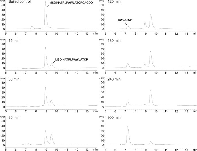 FIGURE 4.