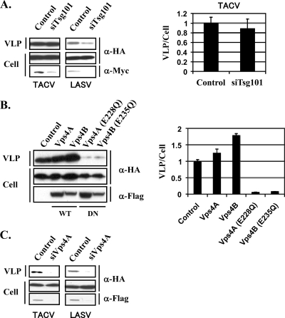 FIG. 4.