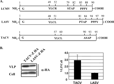 FIG. 1.