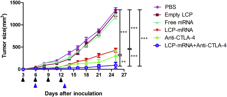 Figure 5